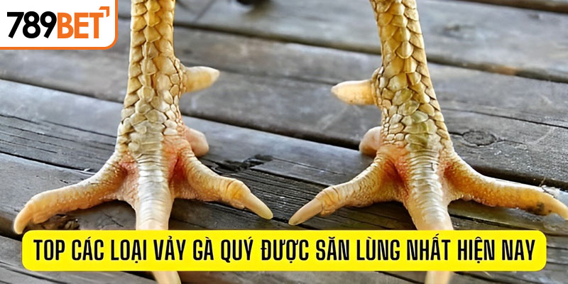 Các loại gà có vảy quý